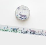 cozyca products 透明マスキングテープ 西淑　daydream