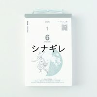 【20％OFF】宙の日めくりカレンダー 2025