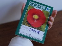 ジャポニカ こづかい帳